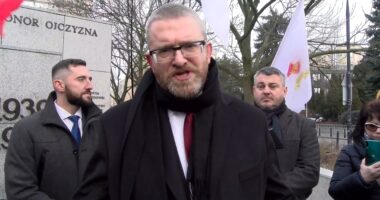 grzegorz braun ustawa segregacyjna