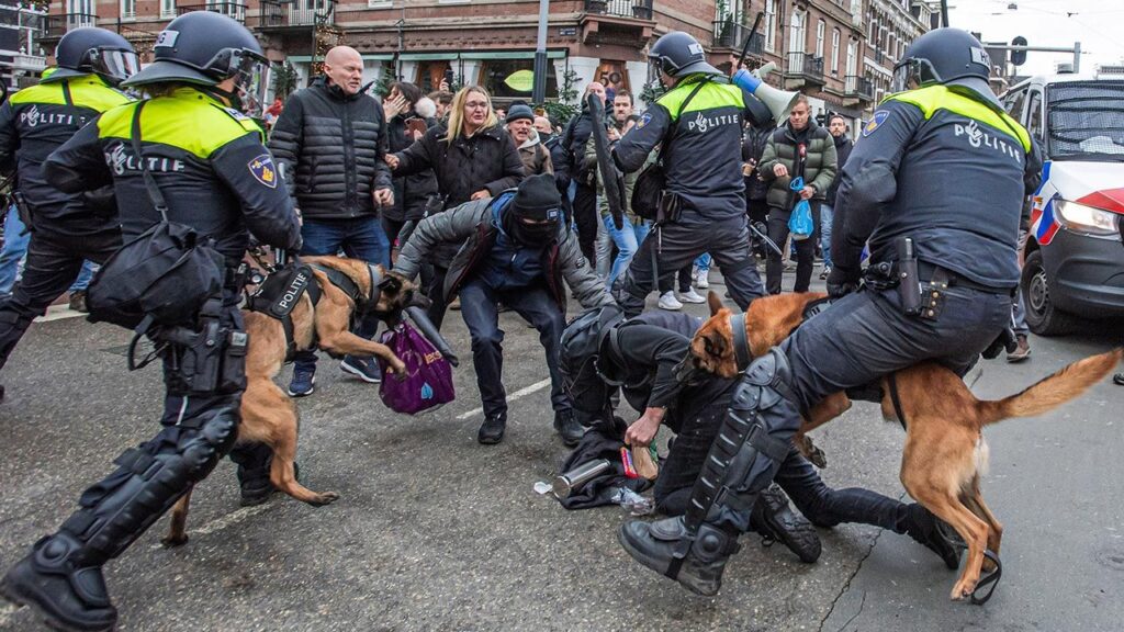 protesty w holandii