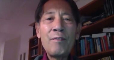 profesor Bhakdi covis