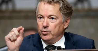 senator Rand Paul