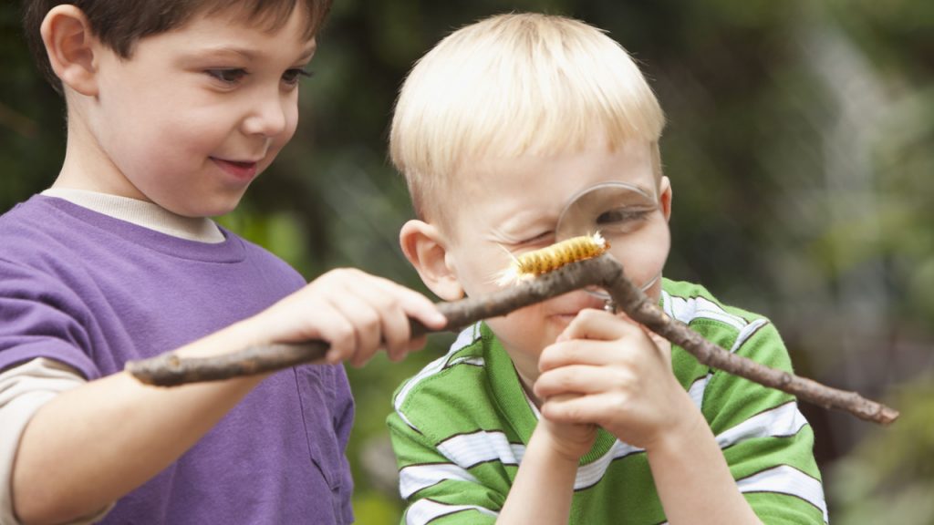 chcą karmić dzieci insektami