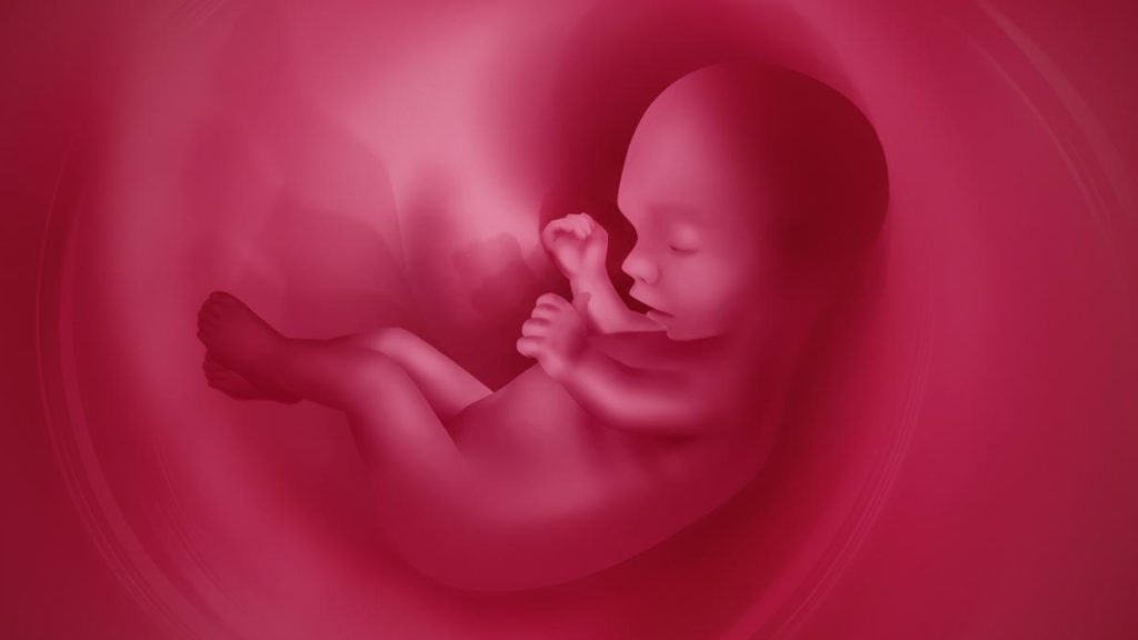 aborcja