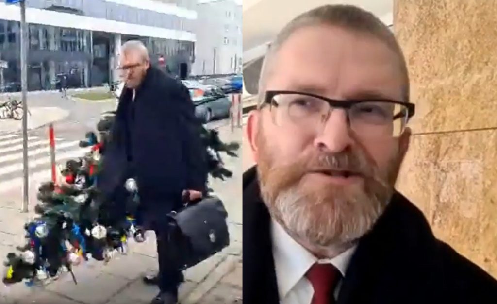 braun choinka
