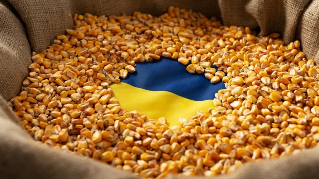 Ukraińskie zboże