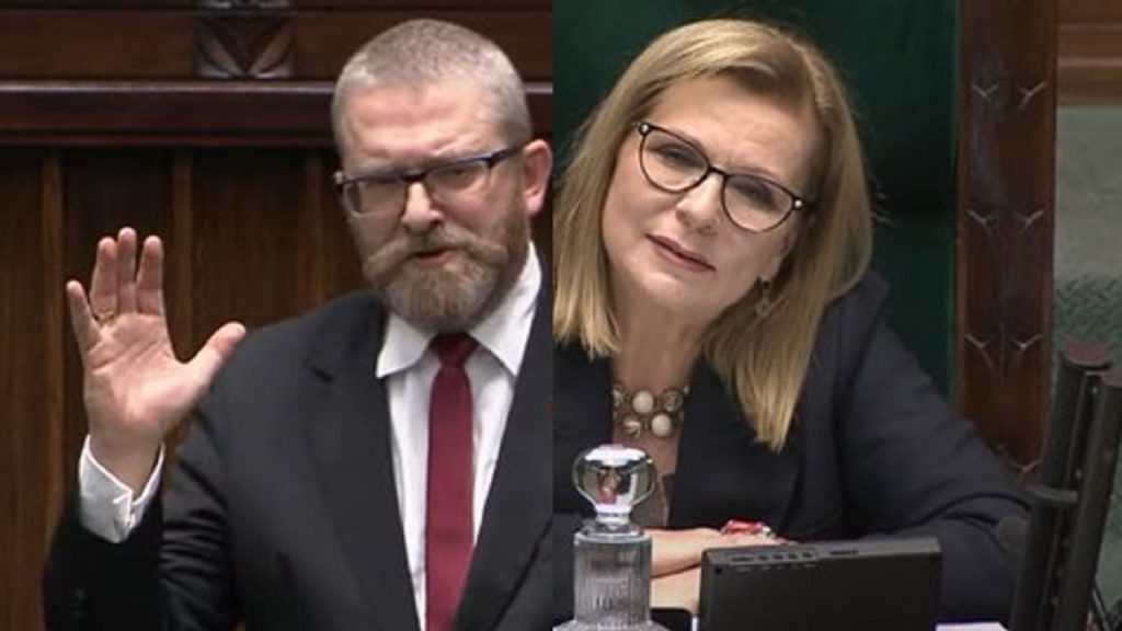 braun gosiewska
