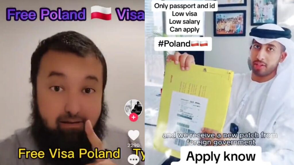 handel wizami do Polski