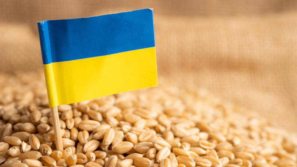 Ukraina zboże