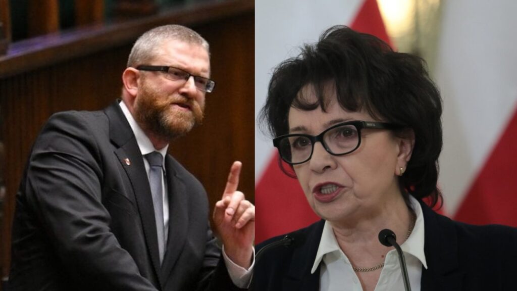 braun witek sejm