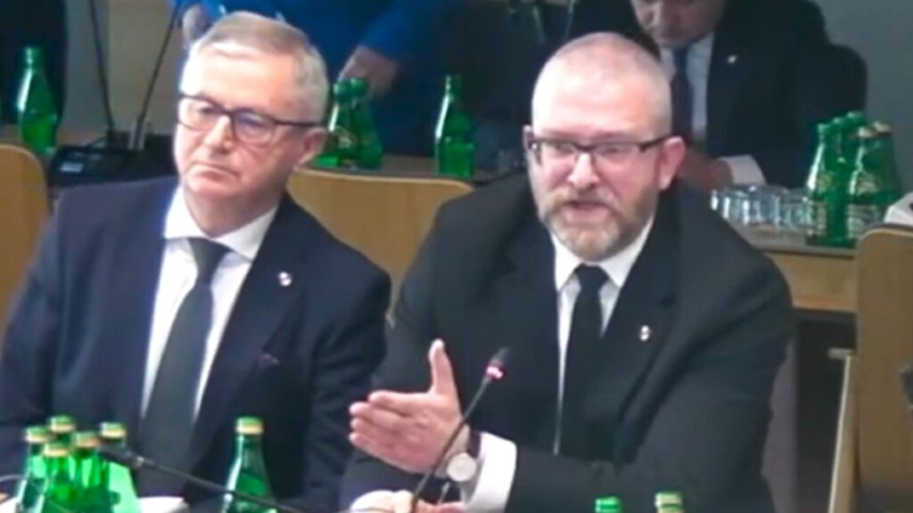 braun skalik