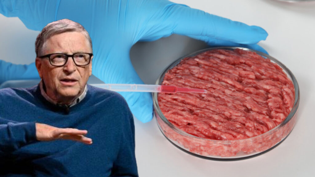 Bill Gates o sztucznym mięsie