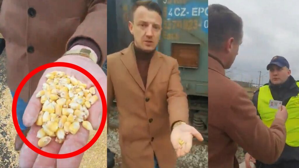Konfederacja Zboże z Ukrainy