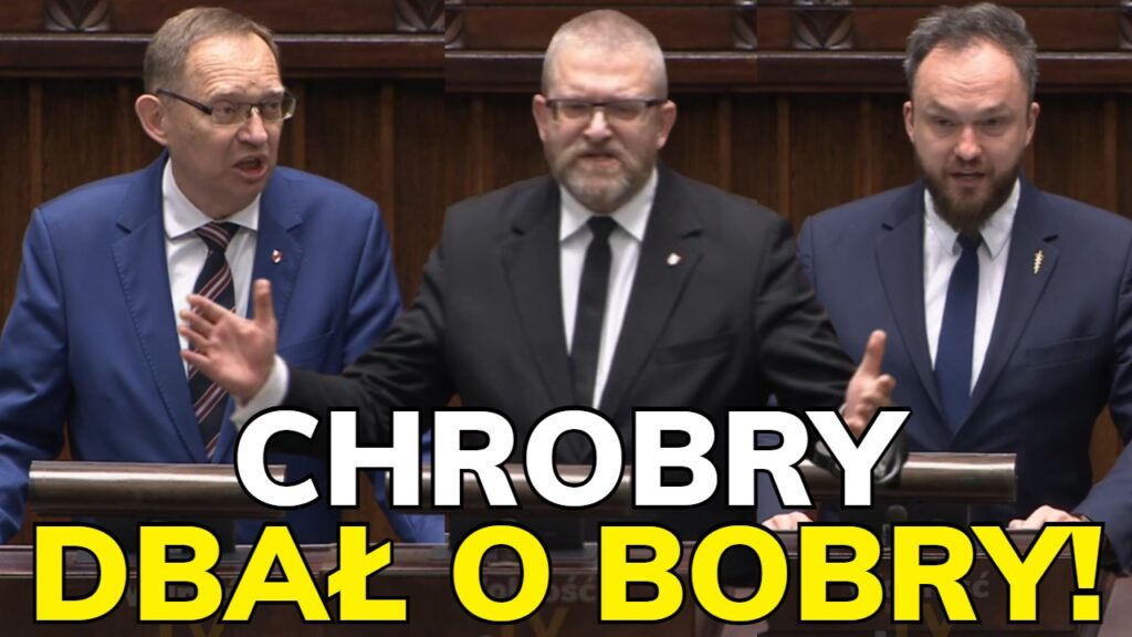 braun ekofanatycy