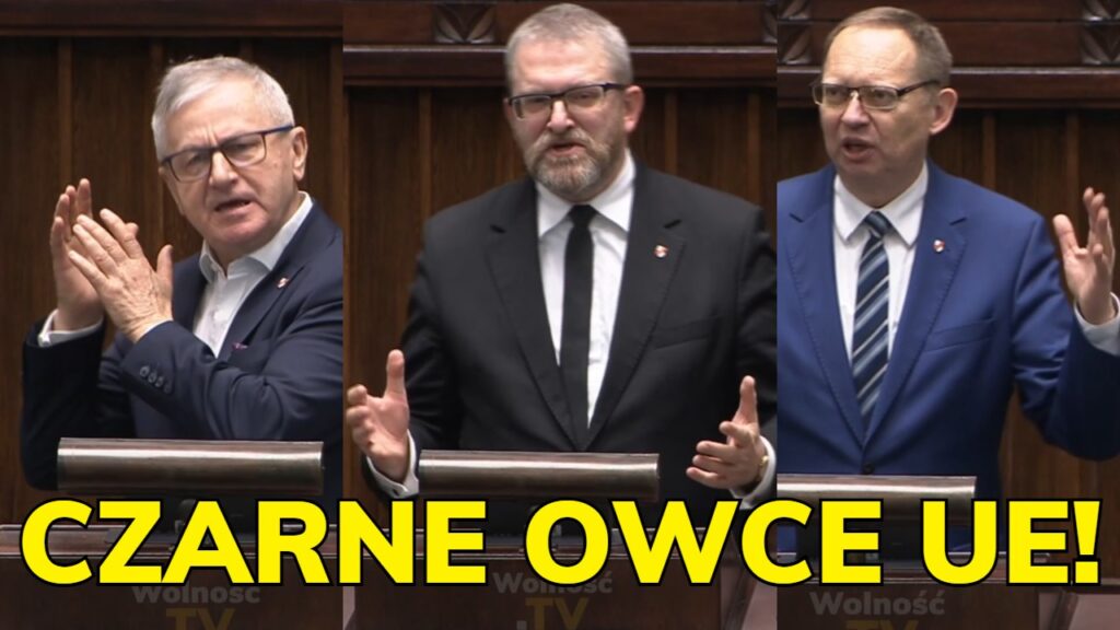 konfederacja w sejmie