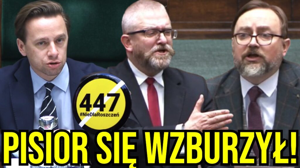 braun bosak sejm