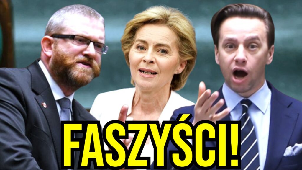 bosak braun sejm