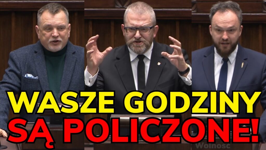 braun konfederacja