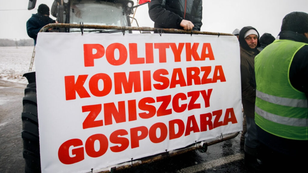 Czym jest Zielony Ład?