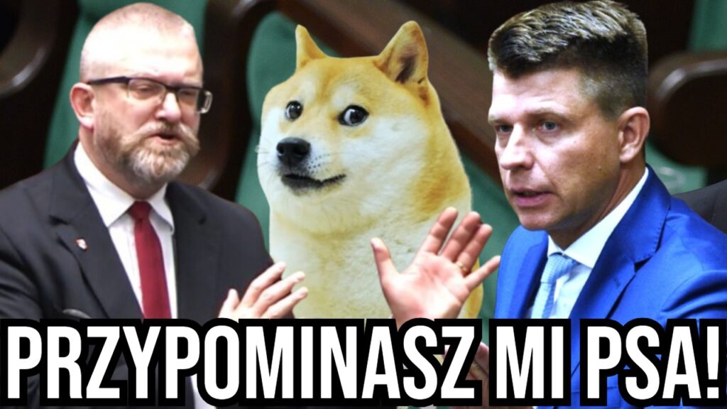 grzegorz braun ryszard petru