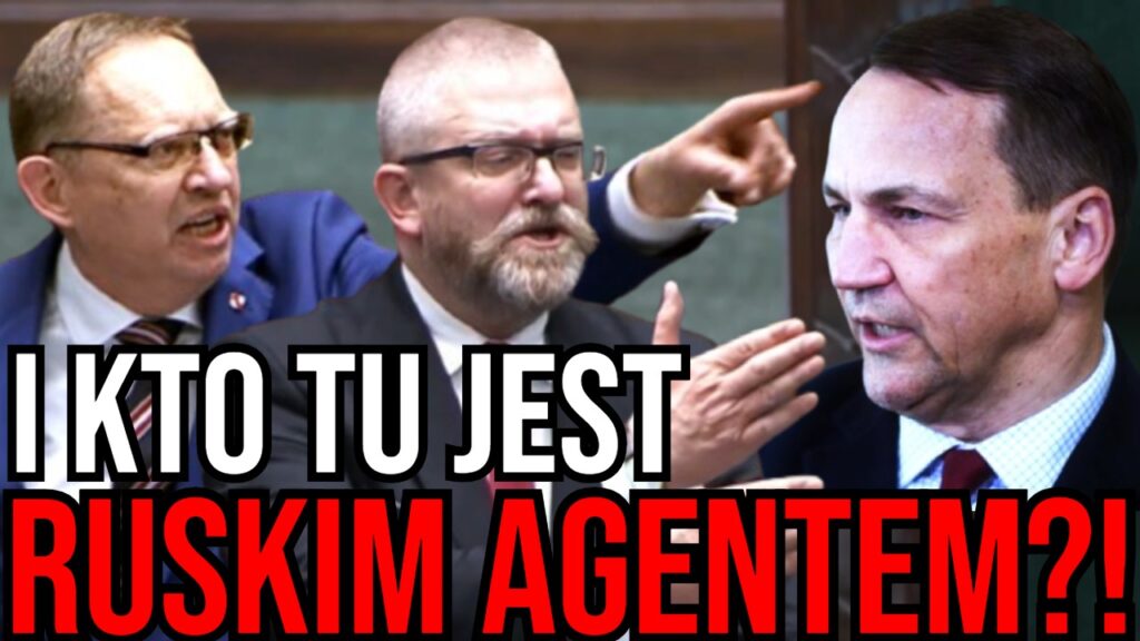 braun sejm